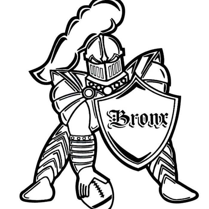 Bronx knights Football/Cheer printing package